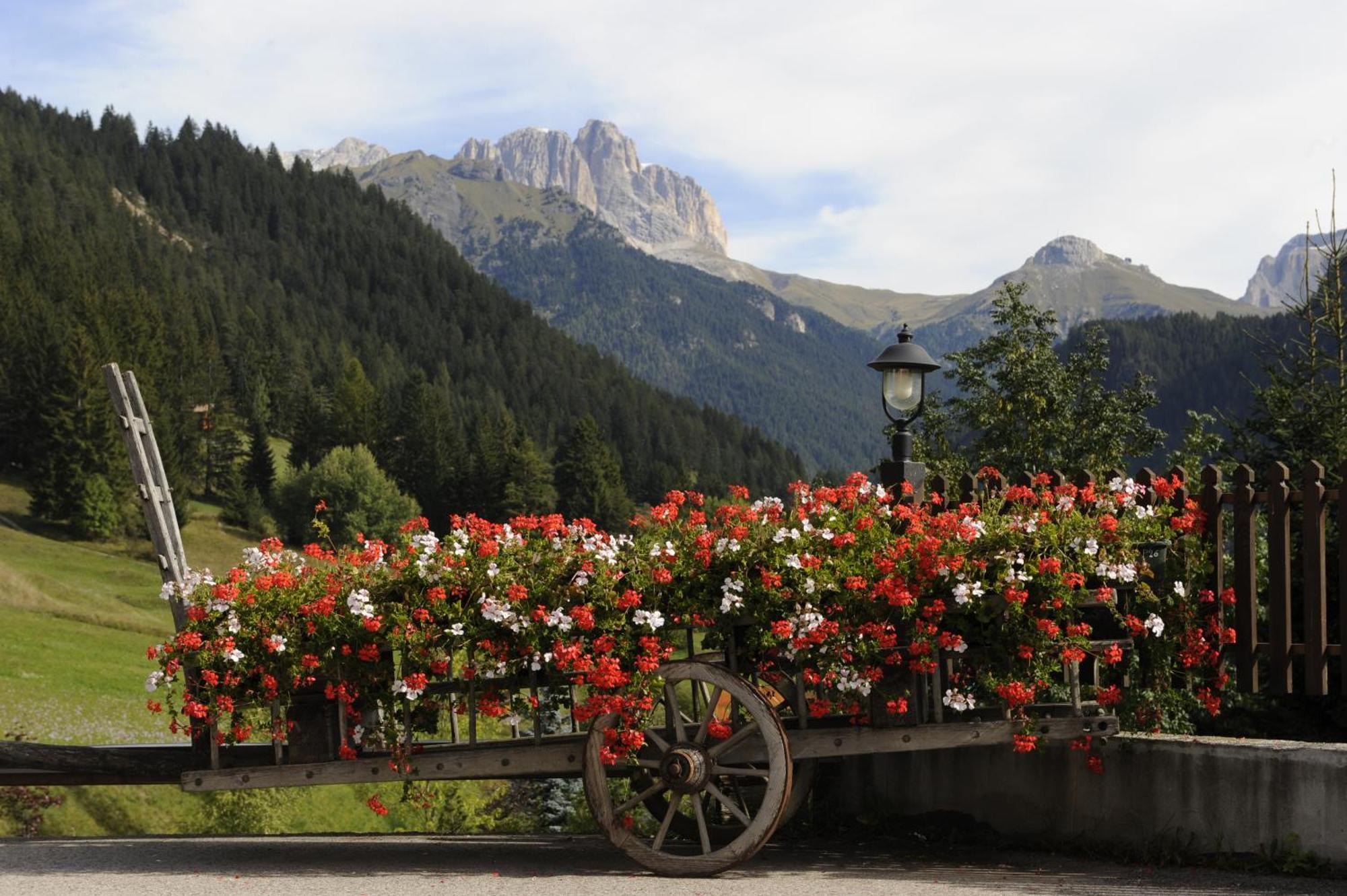 Alpine Touring Hotel-Petfriendly Pozza di Fassa Extérieur photo